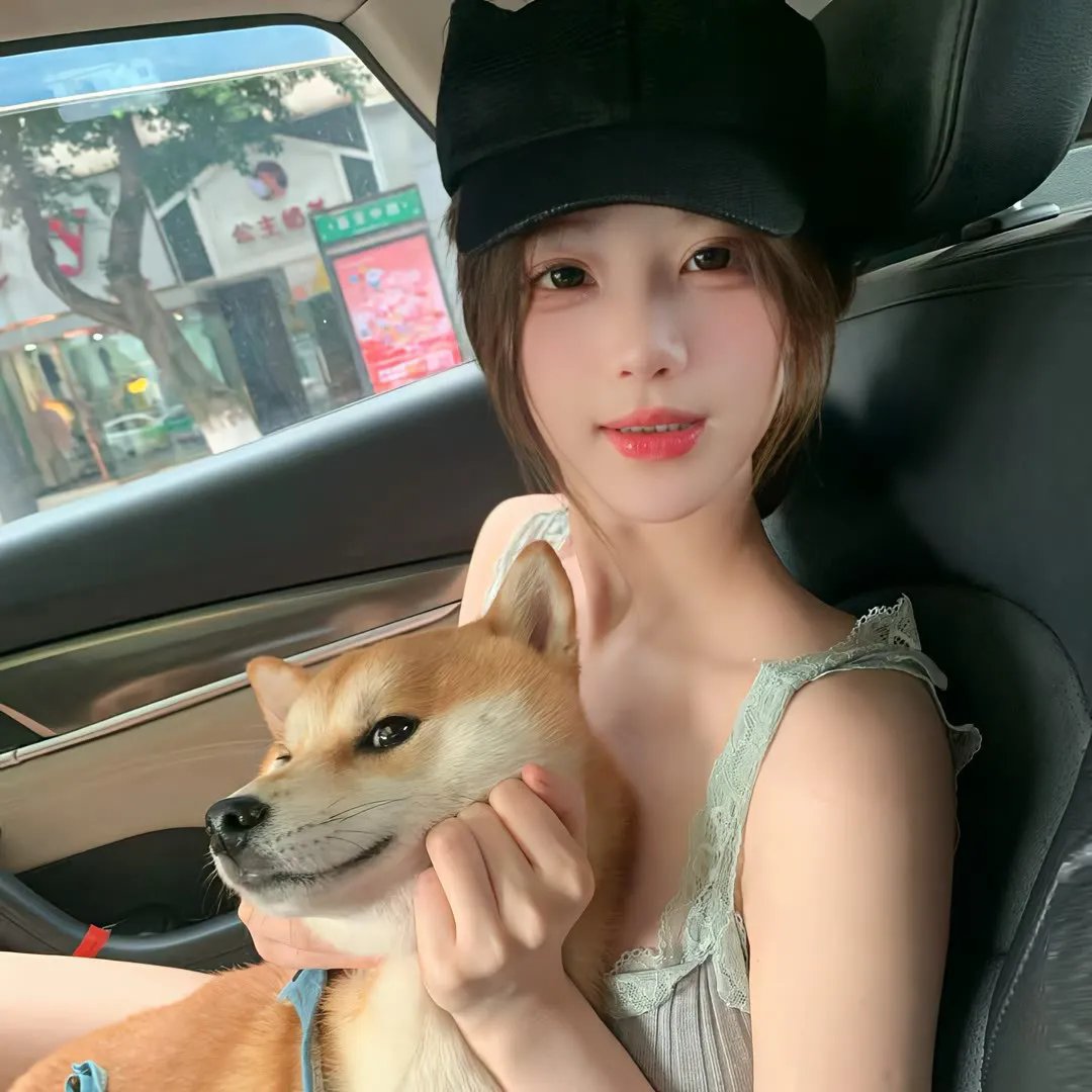 海龟故事