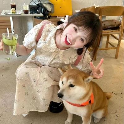 欢迎光临娃娃屋
