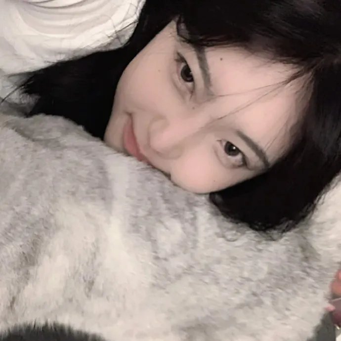 律政英雄特别版